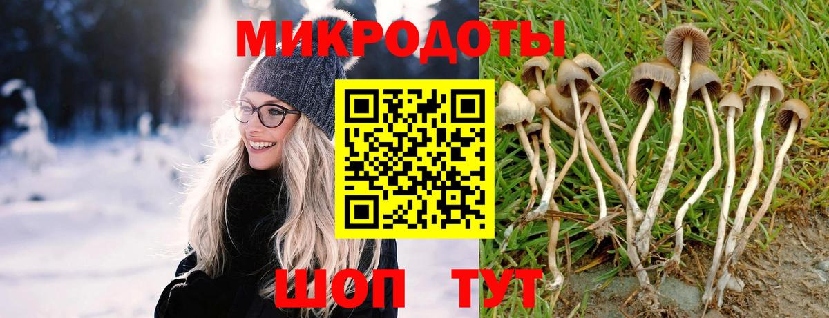 Гагарин  Псилоцибиновые грибы ЛСД  Вход с VPN 