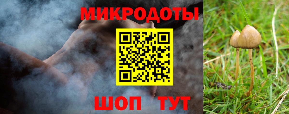 МЕТАДОН Гагарин